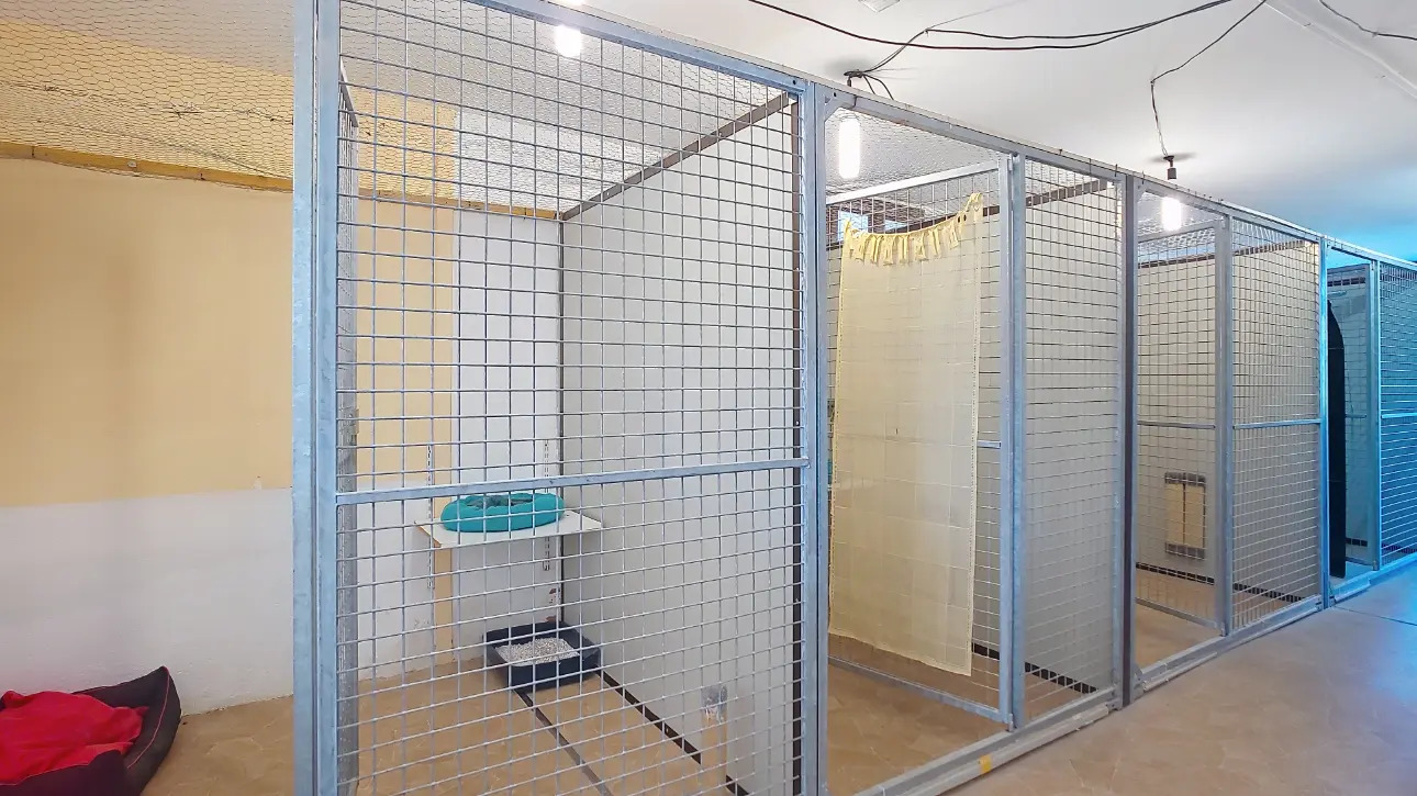 Photos 15 - Agricole - A vendre Maison à Calignac 183 m2 avec jardin, piscine et pension canine