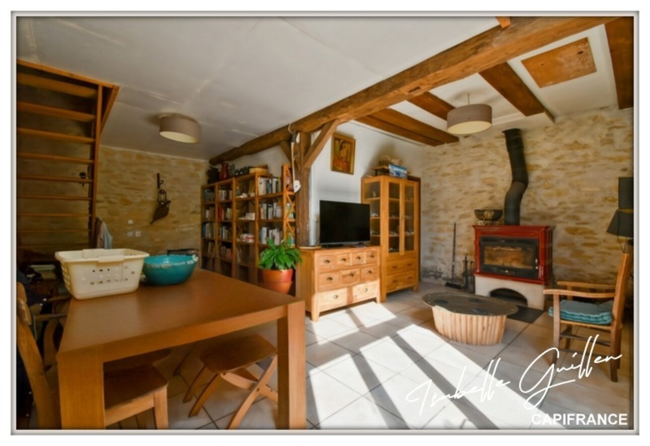 Photos 13 - Touristique - Propriete à vendre 8 pièces TOUCHAY (18)