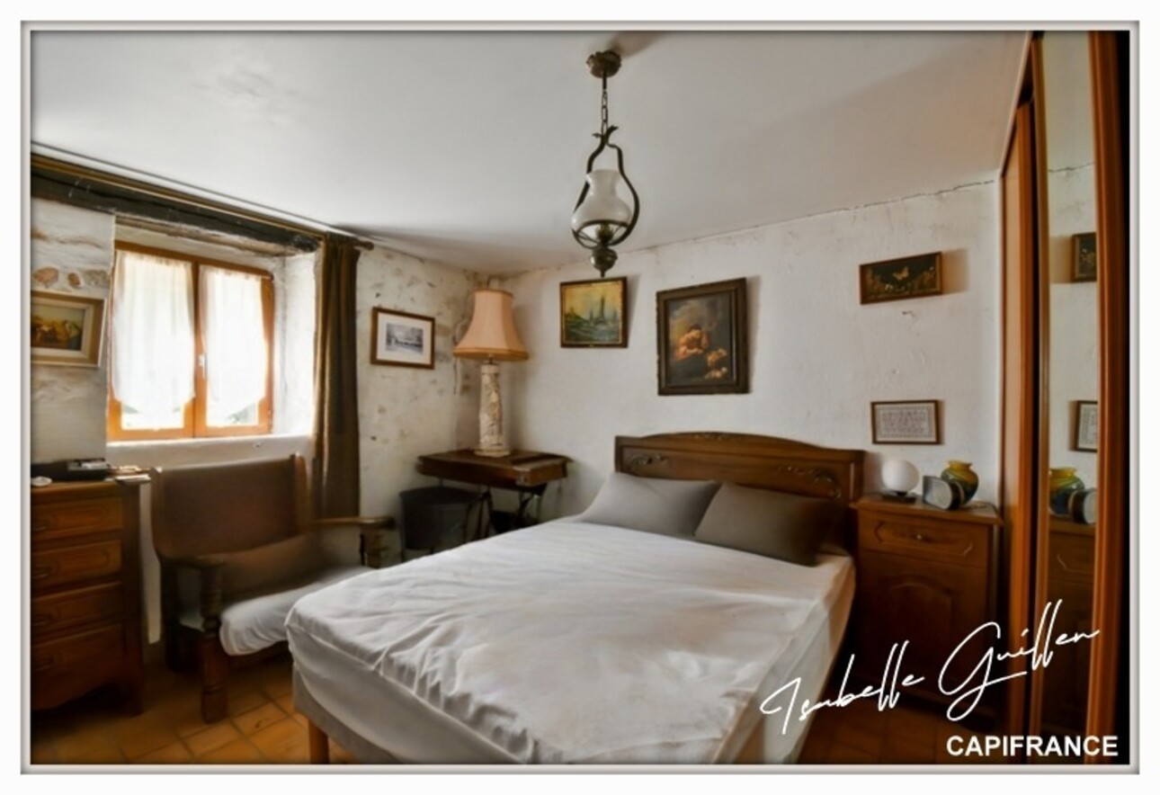 Photos 25 - Touristique - Propriete à vendre 8 pièces TOUCHAY (18)
