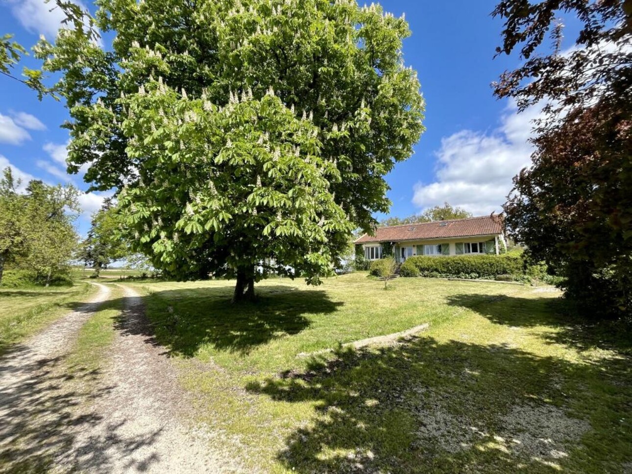 Photos 20 - Équestre - Domaine