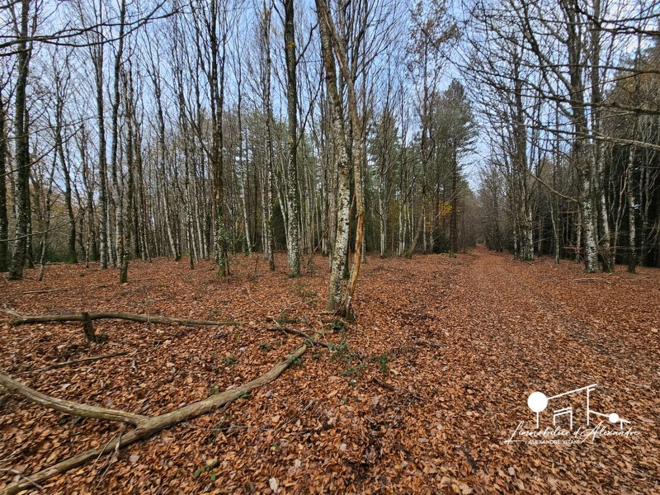 Photos 5 - Equestrian - Dpt Aude (11), à vendre LES MARTYS propriete P5 de 110 m² - Terrain de 20,00 Ha -garage-source