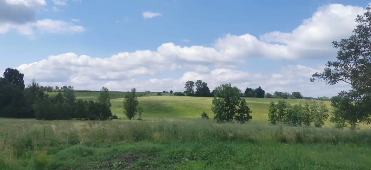 Photos 4 - Équestre - Gironde : Propriété agricole à vocation équestre