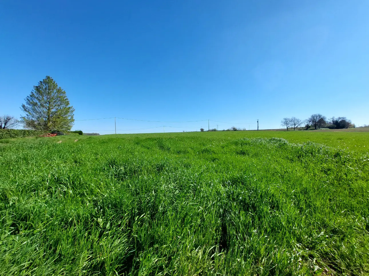 Photos 5 - Équestre - Gironde : Propriété agricole à vocation équestre
