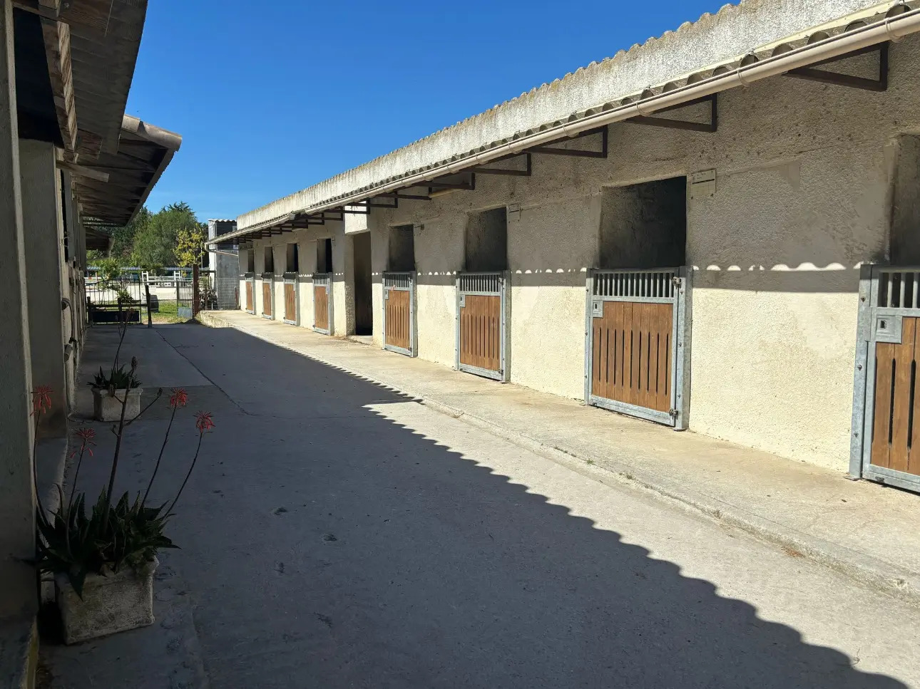 Photos 4 - Équestre - Hérault . Propriété équestre de standing