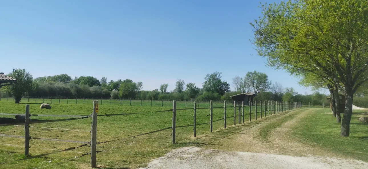 Photos 3 - Équestre - Dordogne .Propriété de standing