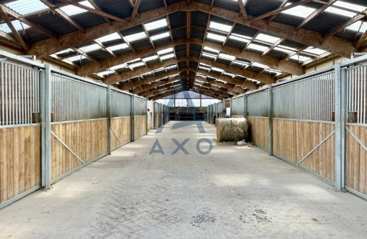 Photos 3 - Équestre - Haras d’Entraînement de Courses sur 28 Hectares – Installations Haut de Gamme – Cadre Exceptionnel