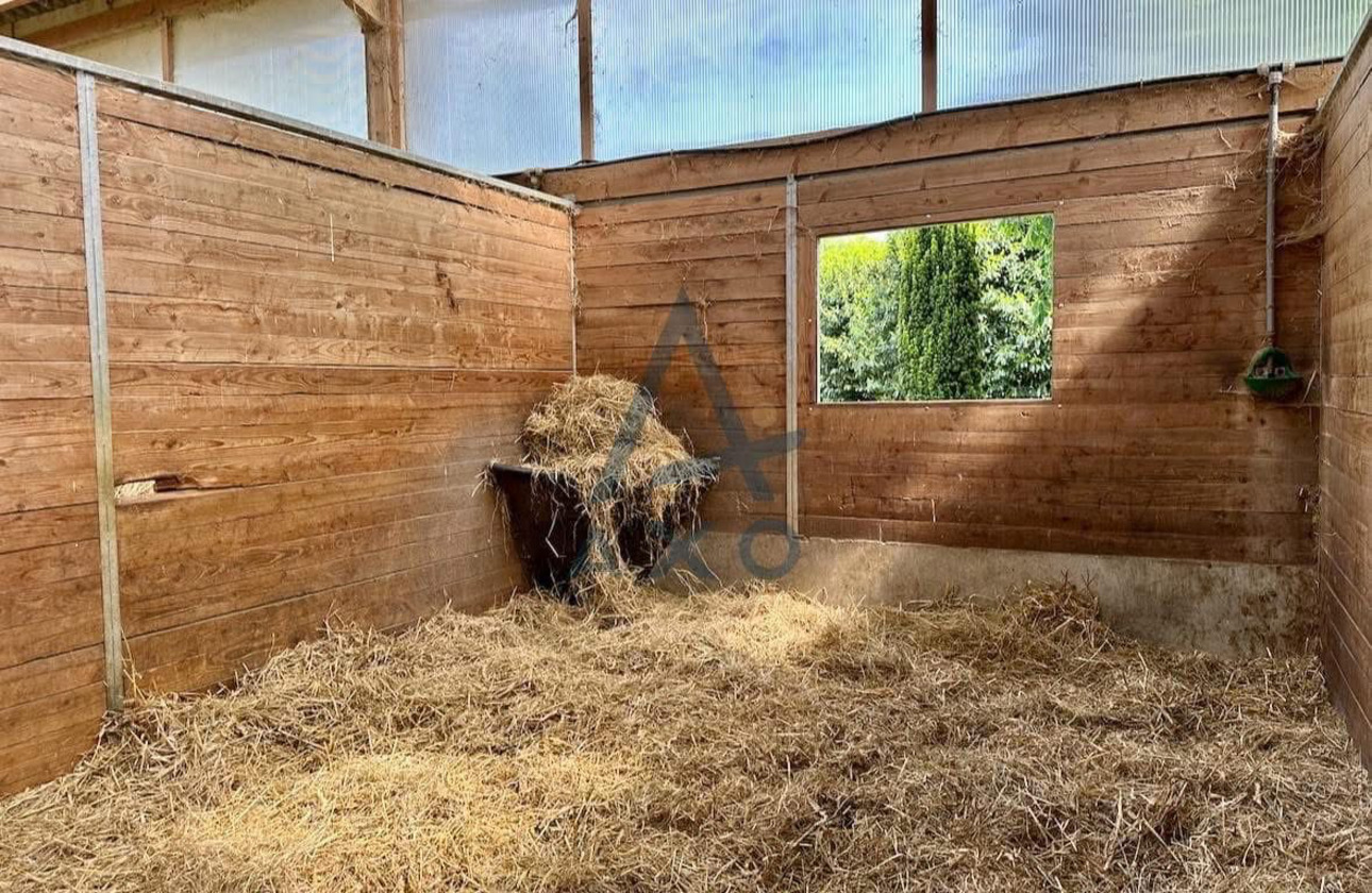 Photos 4 - Équestre - Haras d’Entraînement de Courses sur 28 Hectares – Installations Haut de Gamme – Cadre Exceptionnel
