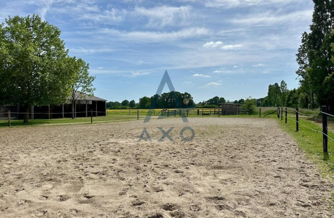 Photos 5 - Équestre - Haras d’Entraînement de Courses sur 28 Hectares – Installations Haut de Gamme – Cadre Exceptionnel