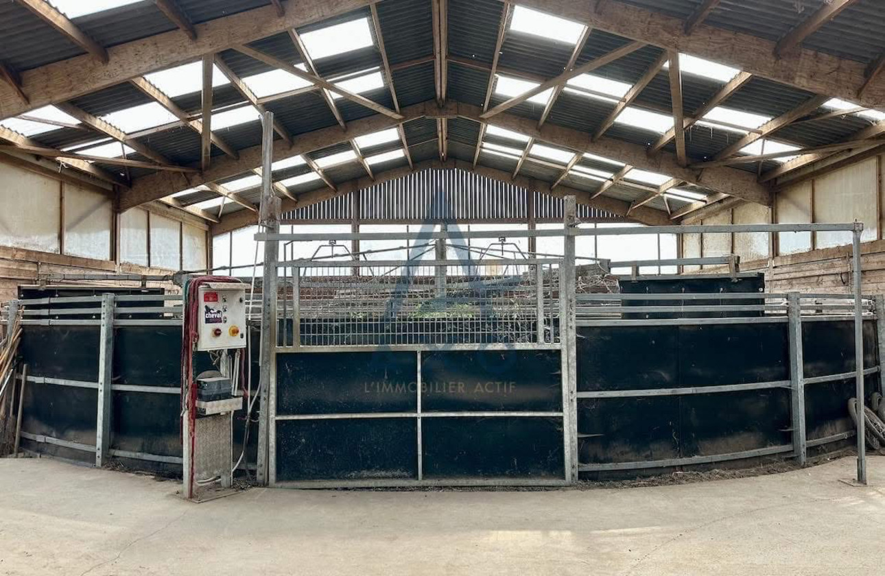 Photos 10 - Équestre - Haras d’Entraînement de Courses sur 28 Hectares – Installations Haut de Gamme – Cadre Exceptionnel