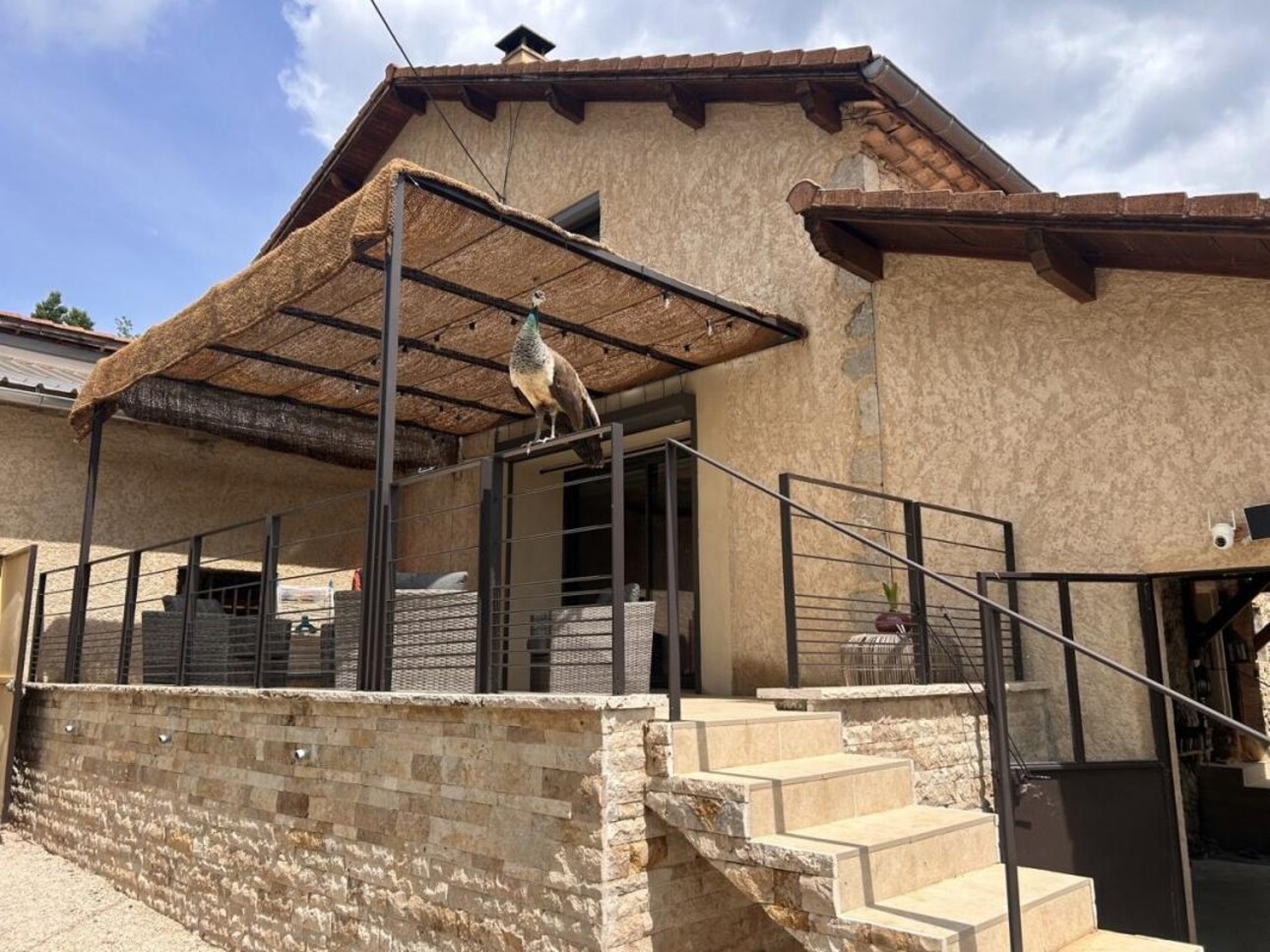 Photos 21 - Équestre - Propriété équestre avec gîte sur 6,3 ha