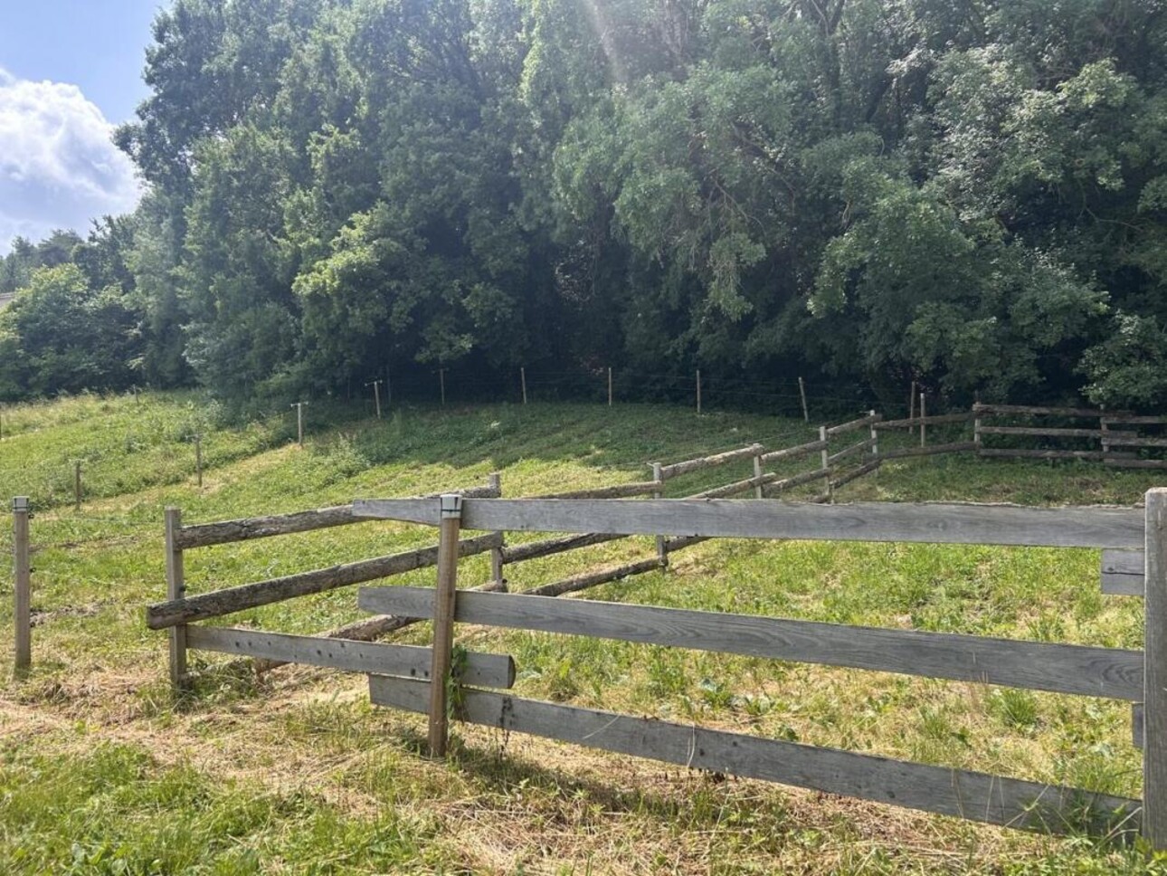 Photos 27 - Équestre - Propriété équestre avec gîte sur 6,3 ha