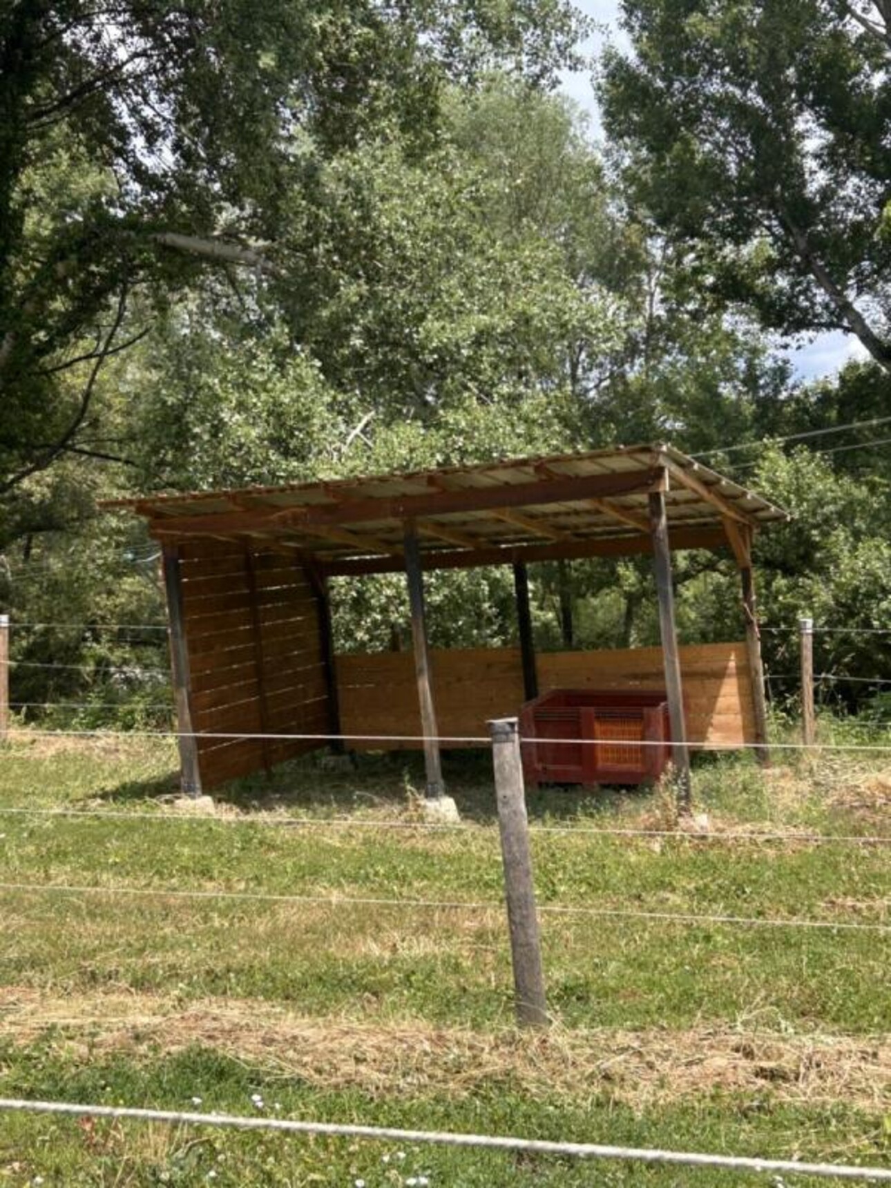 Photos 28 - Équestre - Propriété équestre avec gîte sur 6,3 ha