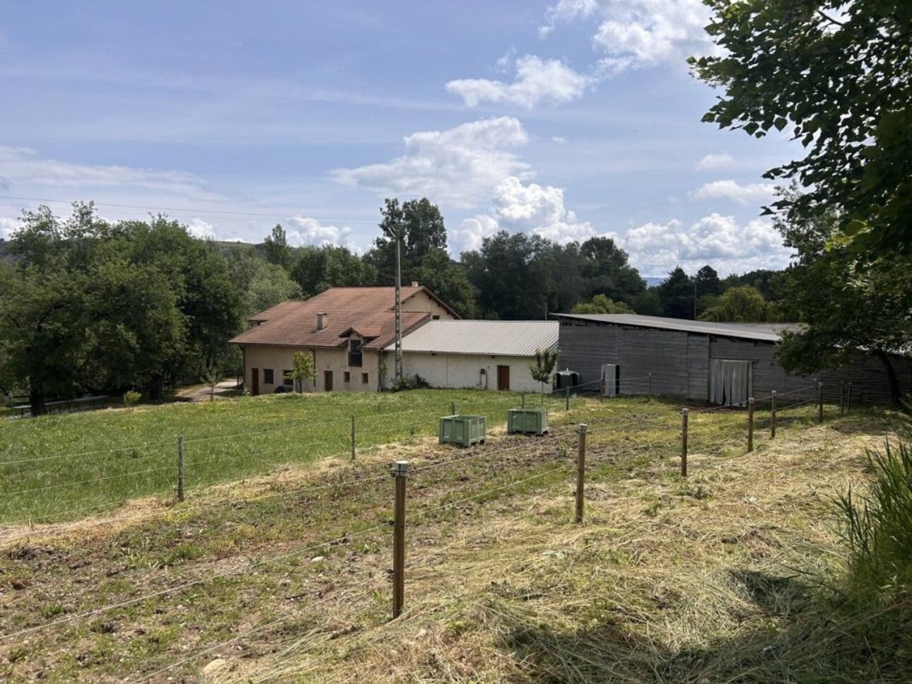 Photos 30 - Équestre - Propriété équestre avec gîte sur 6,3 ha