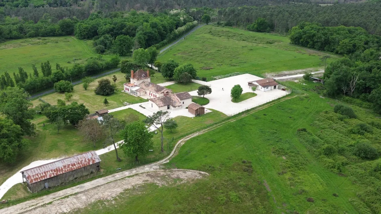 Photos 1 - Forestière - Domaine de chasse de 100 ha avec gîtes à 20 minutes de Montpon-Ménestérol (24)
