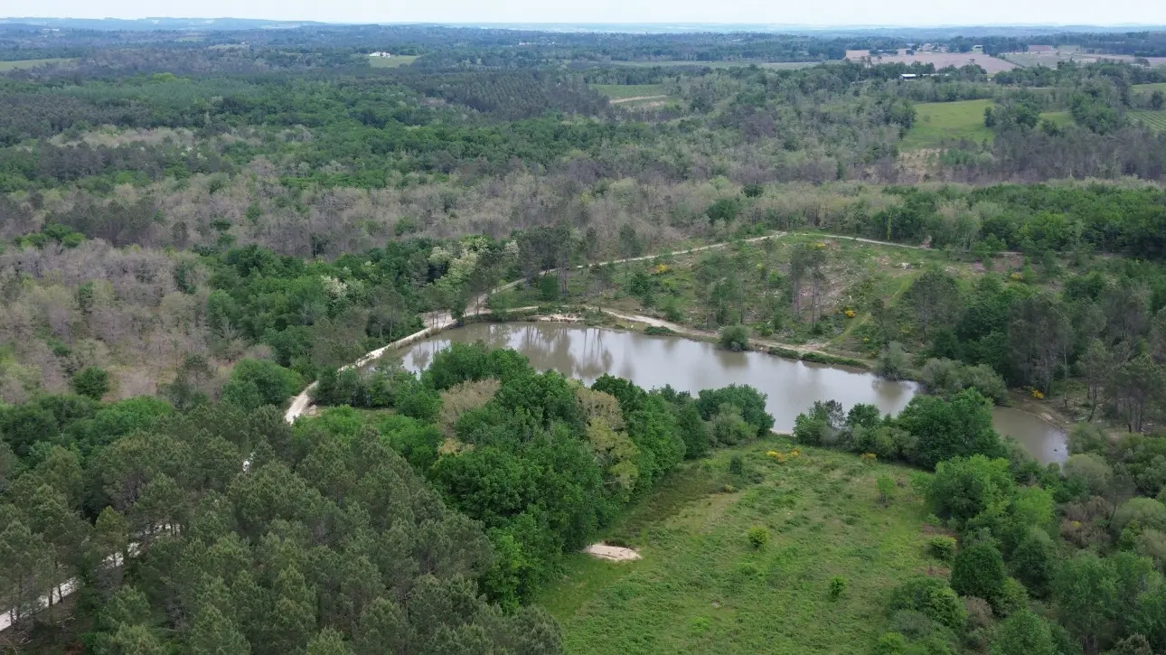 Photos 2 - Forestière - Domaine de chasse de 100 ha avec gîtes à 20 minutes de Montpon-Ménestérol (24)