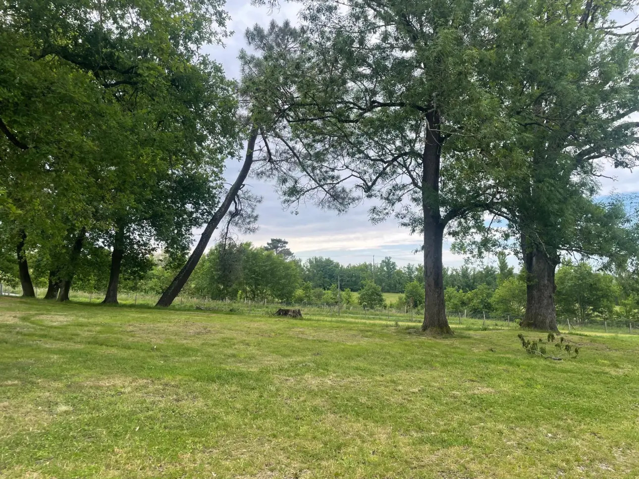 Photos 5 - Forestière - Domaine de chasse de 100 ha avec gîtes à 20 minutes de Montpon-Ménestérol (24)