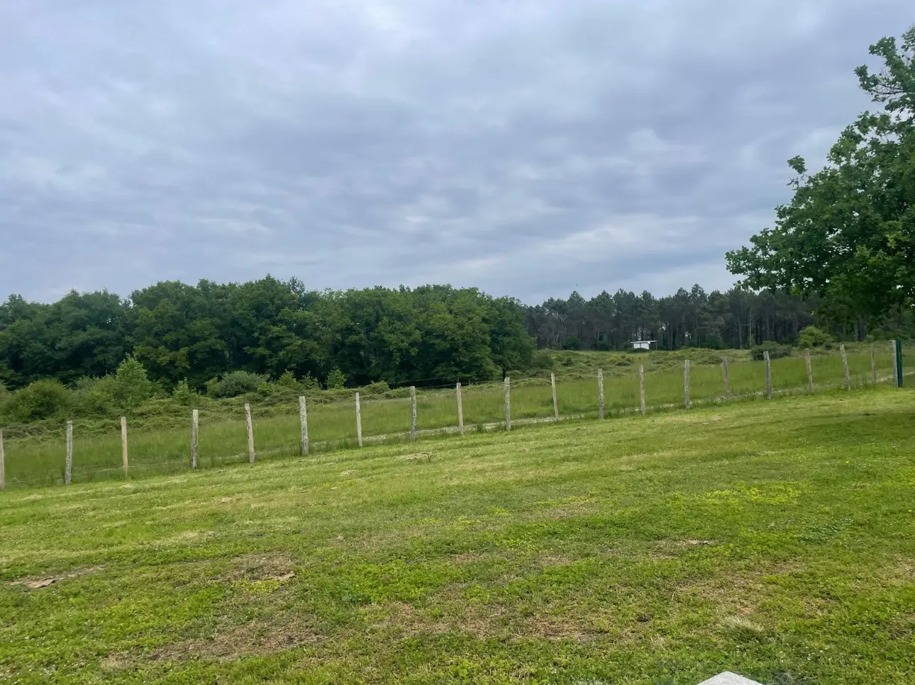 Photos 7 - Forestière - Domaine de chasse de 100 ha avec gîtes à 20 minutes de Montpon-Ménestérol (24)