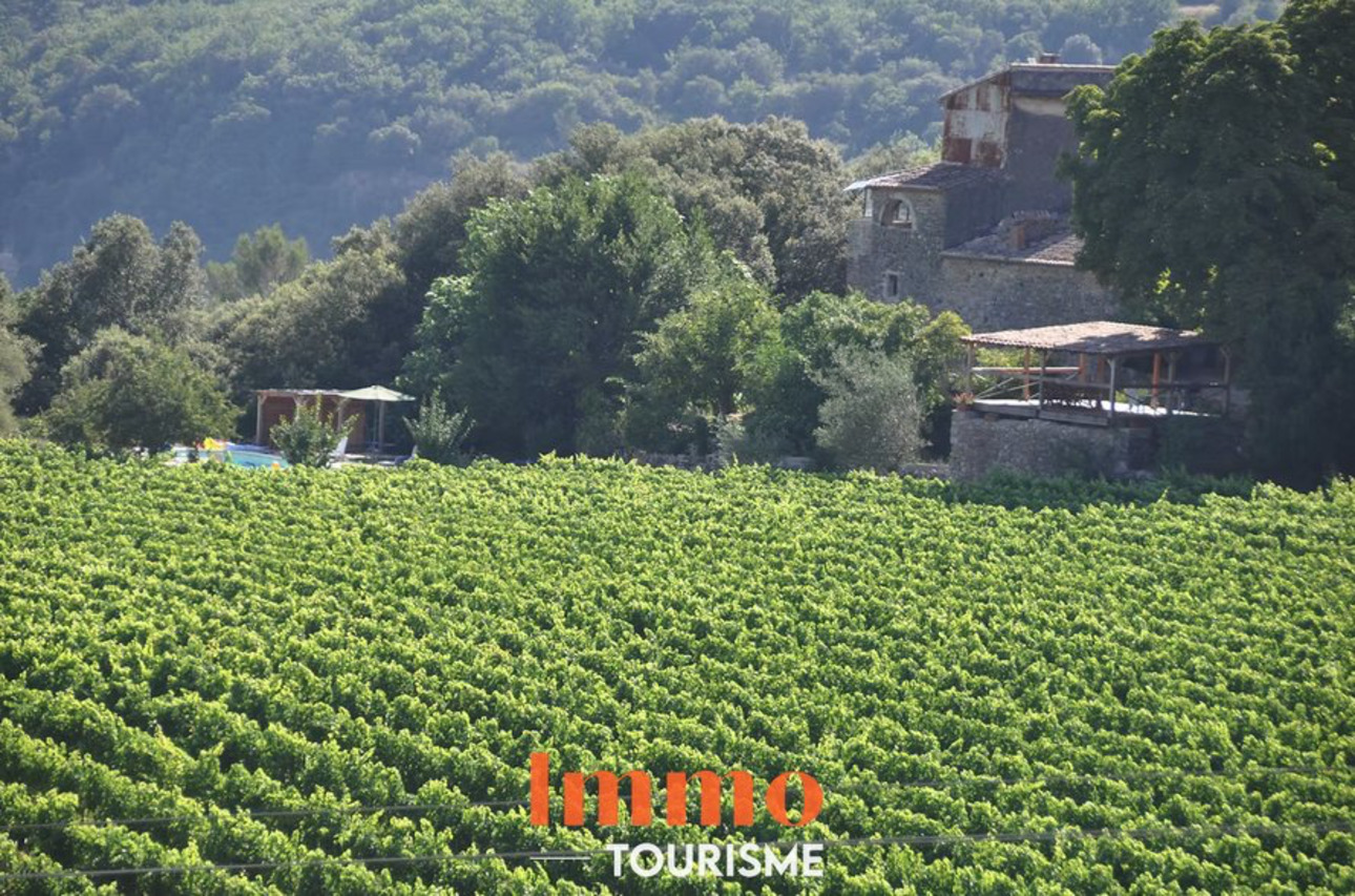 Photos 10 - Touristique - Domaine œnotouristique d’exception en Haut-Languedoc