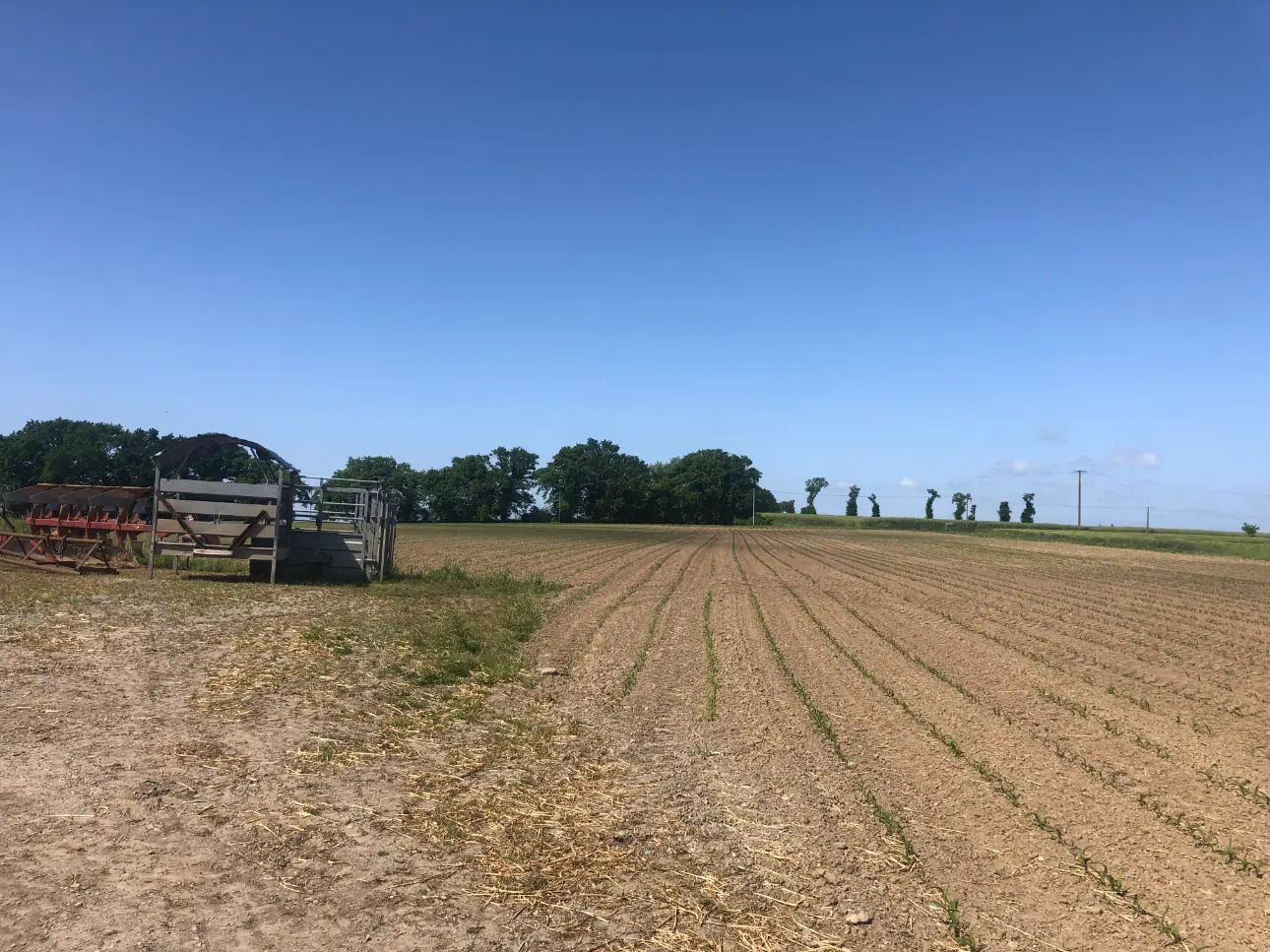 Photos 1 - Agricole - Exploitation Laitière entre Lamballe et Dinan au cœur d'un très beau bassin laitier