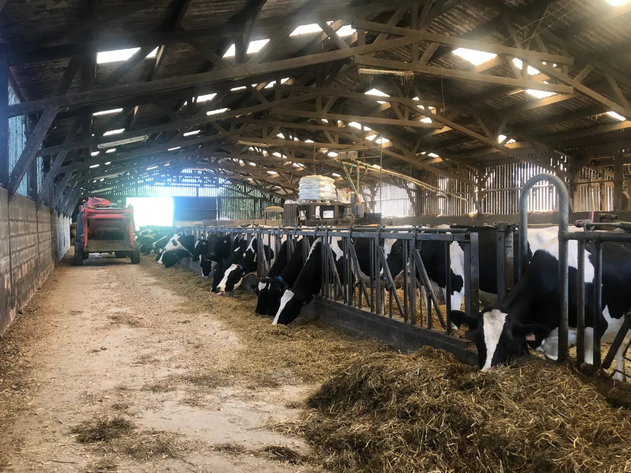Photos 2 - Agricole - Exploitation Laitière entre Lamballe et Dinan au cœur d'un très beau bassin laitier