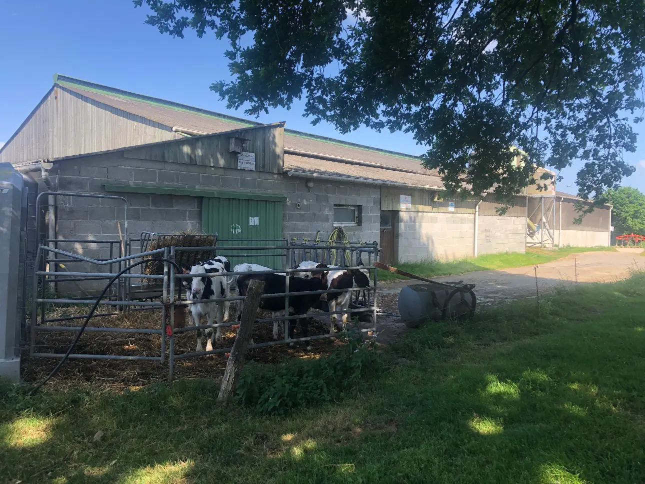 Photos 4 - Agricole - Exploitation Laitière entre Lamballe et Dinan au cœur d'un très beau bassin laitier