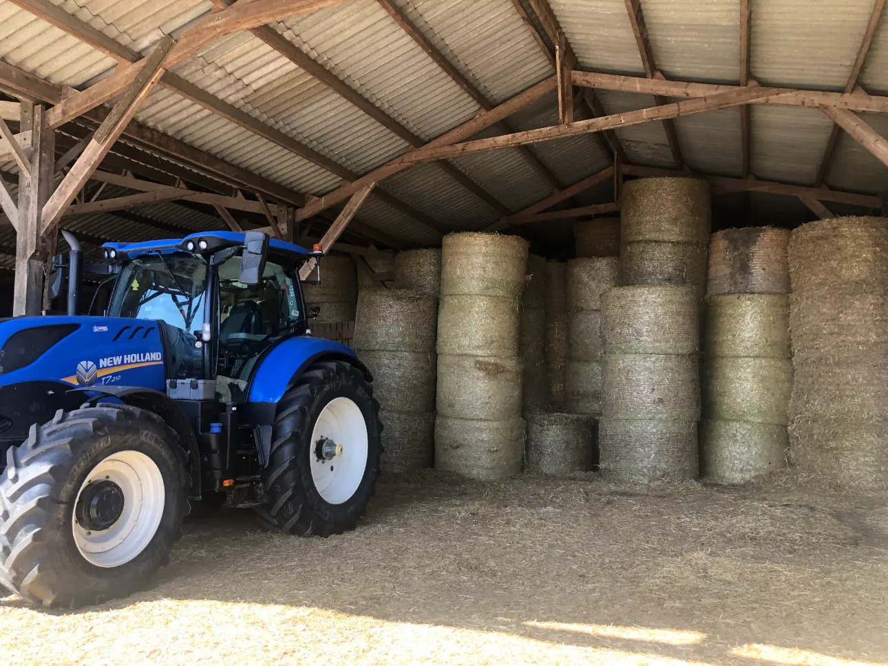 Photos 7 - Agricole - Exploitation Laitière entre Lamballe et Dinan au cœur d'un très beau bassin laitier