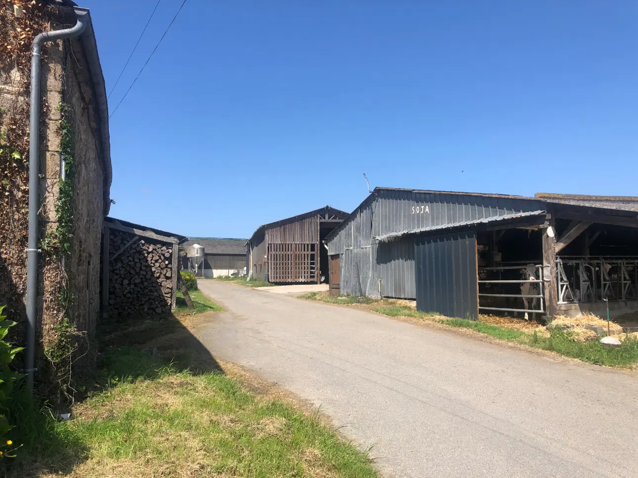 Photos 9 - Agricole - Exploitation Laitière entre Lamballe et Dinan au cœur d'un très beau bassin laitier