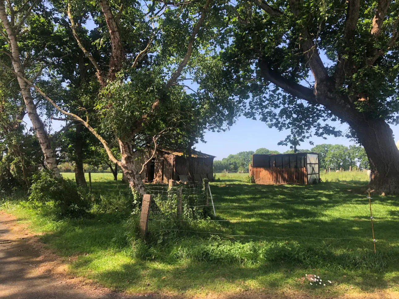 Photos 12 - Agricole - Exploitation Laitière entre Lamballe et Dinan au cœur d'un très beau bassin laitier