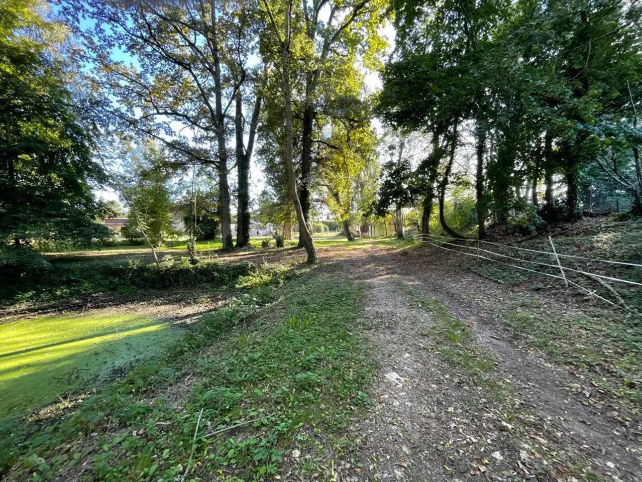 Photos 3 - Équestre - Propriété équestre sur 1,9 ha à 10 mn de Bourges (18)