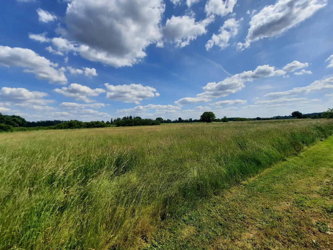 Photos 2 - Équestre - Propriété équestre sur 6,3 ha à 15 mn de Vierzon (18)