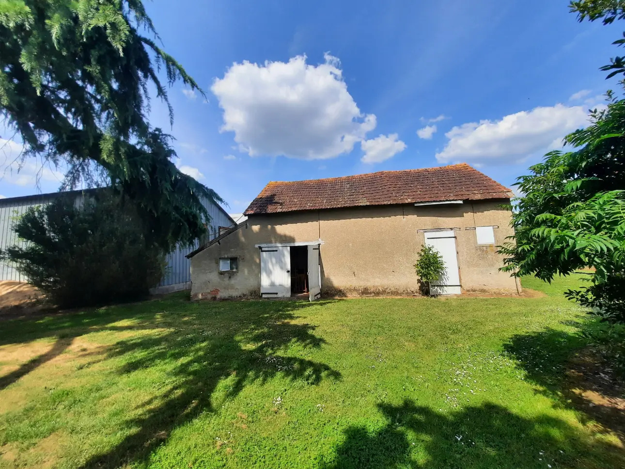 Photos 5 - Équestre - Propriété équestre sur 6,3 ha à 15 mn de Vierzon (18)