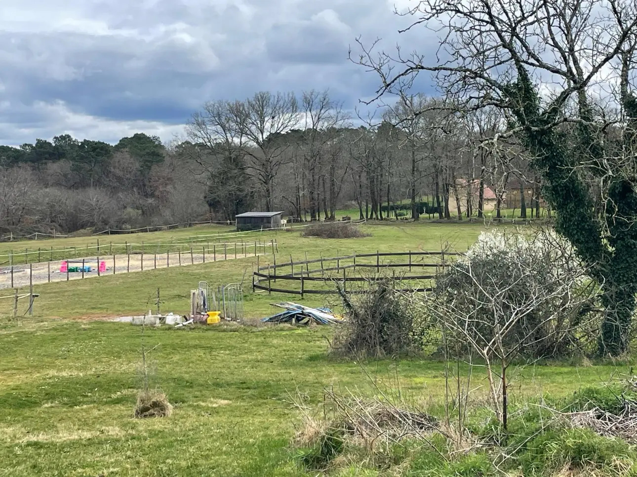 Photos 2 - Équestre - Propriété équestre sur 17 ha - 25 mn SARLAT LA CANÉDA (24)