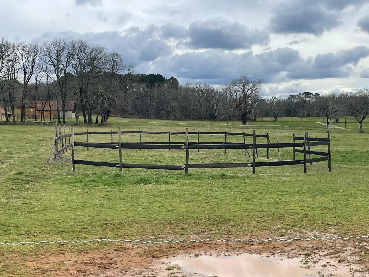 Photos 9 - Équestre - Propriété équestre sur 17 ha - 25 mn SARLAT LA CANÉDA (24)