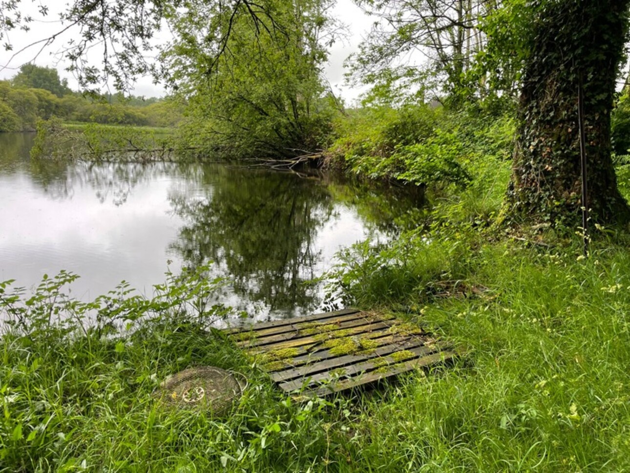 Photos 1 - Prestige - RARE À LA VENTE – Étang + terrain, nature & potentiel  à SAINT NICOLAS COURBEFY (87)