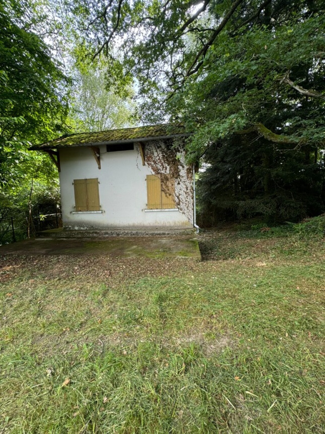 Photos 2 - Prestige - RARE À LA VENTE – Étang + terrain, nature & potentiel  à SAINT NICOLAS COURBEFY (87)