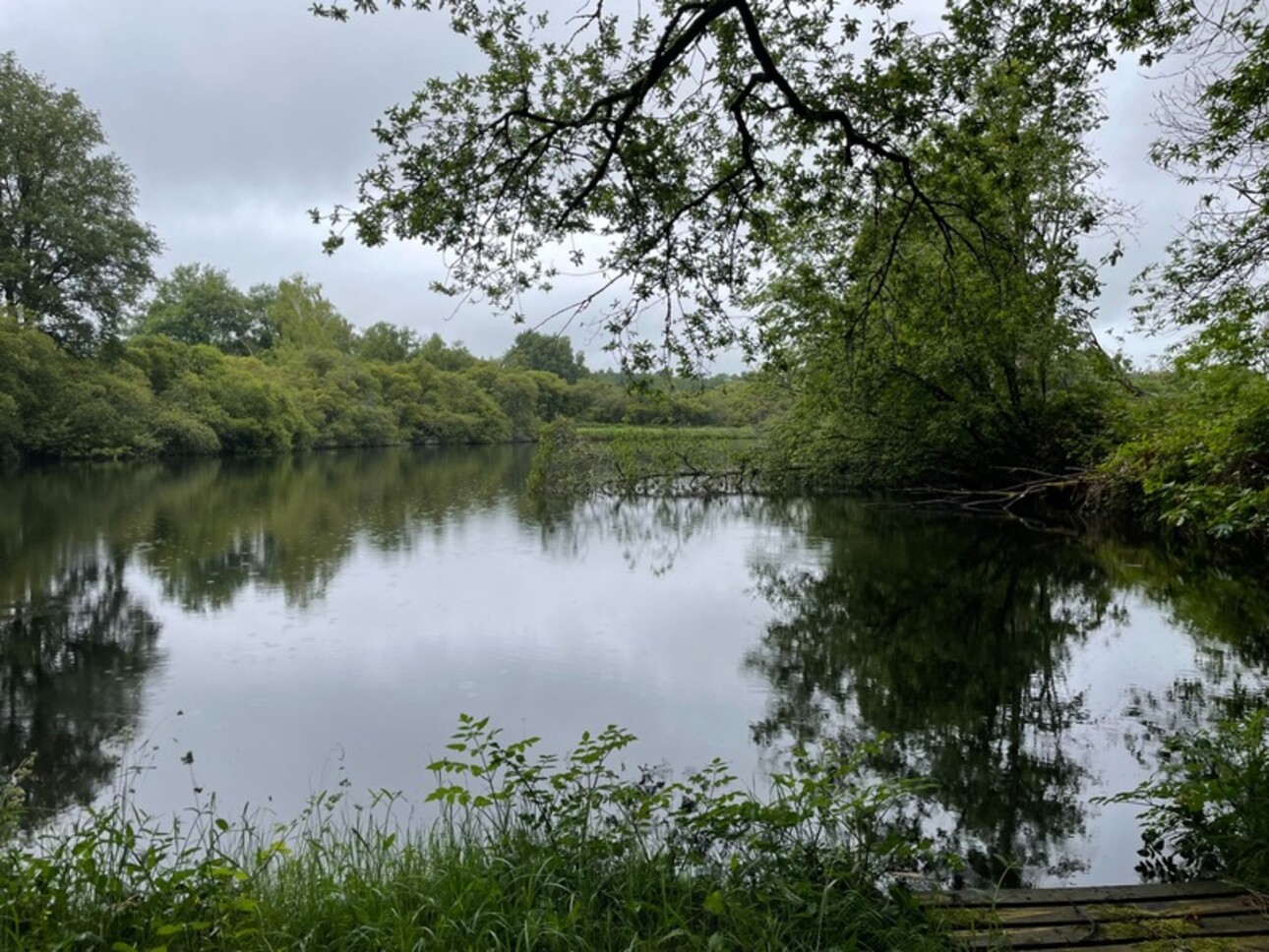 Photos 3 - Prestige - RARE À LA VENTE – Étang + terrain, nature & potentiel  à SAINT NICOLAS COURBEFY (87)