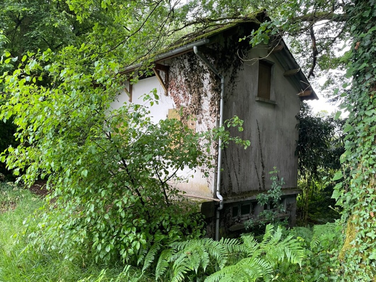 Photos 4 - Prestige - RARE À LA VENTE – Étang + terrain, nature & potentiel  à SAINT NICOLAS COURBEFY (87)
