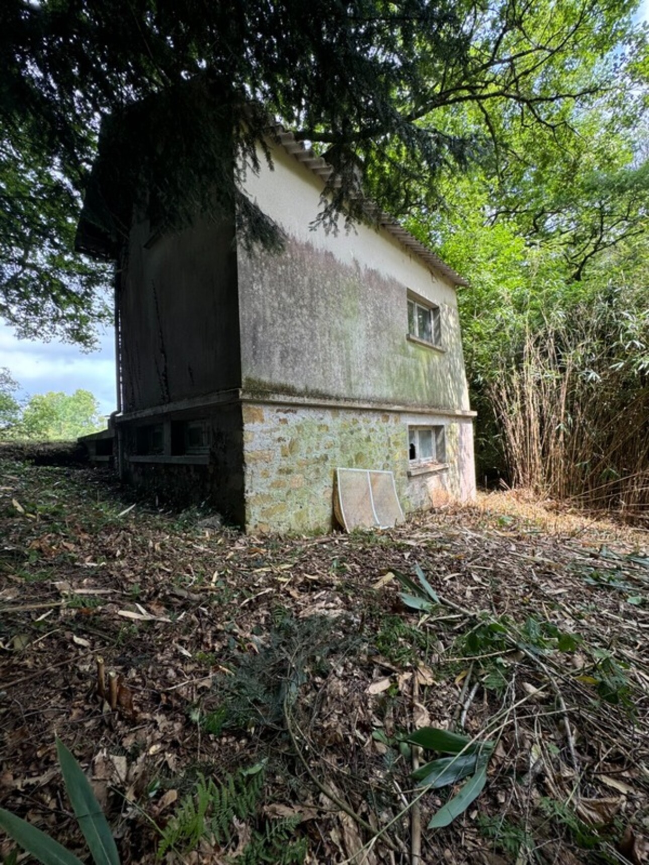 Photos 5 - Prestige - RARE À LA VENTE – Étang + terrain, nature & potentiel  à SAINT NICOLAS COURBEFY (87)