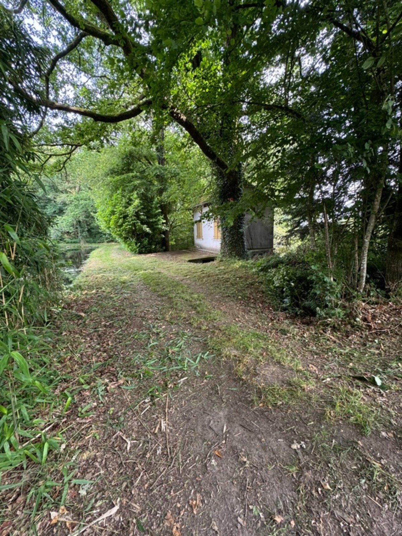 Photos 6 - Prestige - RARE À LA VENTE – Étang + terrain, nature & potentiel  à SAINT NICOLAS COURBEFY (87)