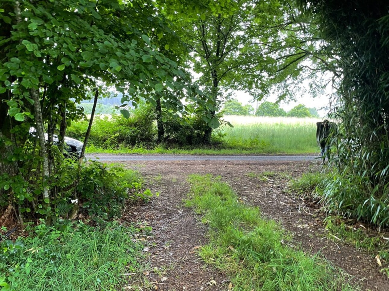 Photos 7 - Prestige - RARE À LA VENTE – Étang + terrain, nature & potentiel  à SAINT NICOLAS COURBEFY (87)