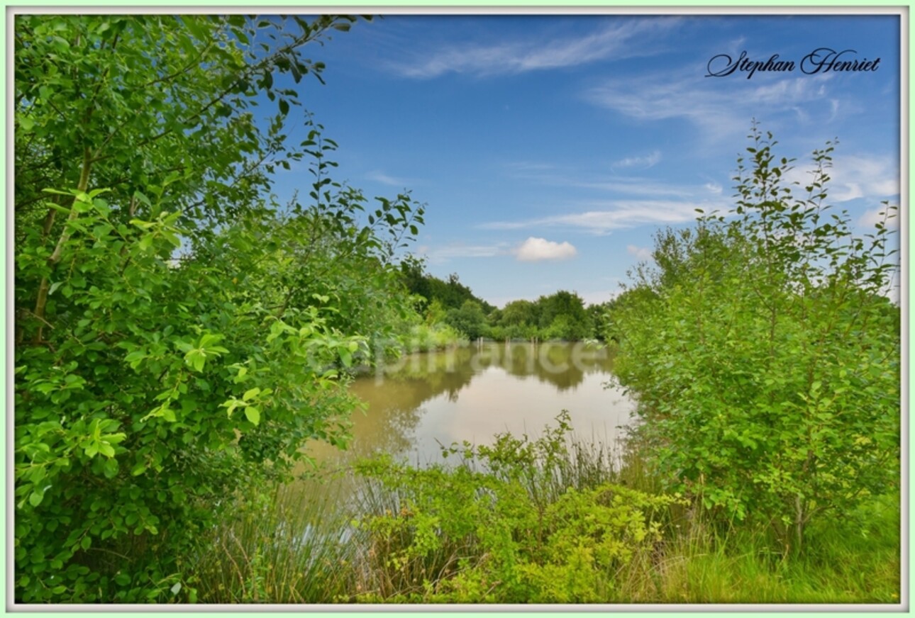 Photos 4 - Foncière - Terrain à vendre de 31 710,00 m² BOULT AUX BOIS (08)