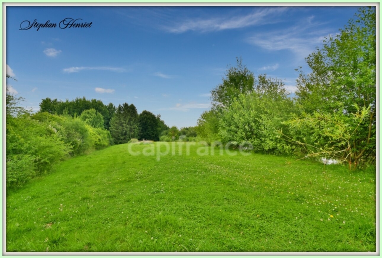 Photos 12 - Foncière - Terrain à vendre de 31 710,00 m² BOULT AUX BOIS (08)