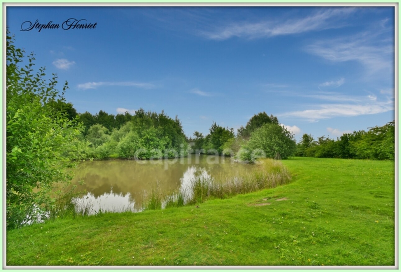 Photos 14 - Foncière - Terrain à vendre de 31 710,00 m² BOULT AUX BOIS (08)