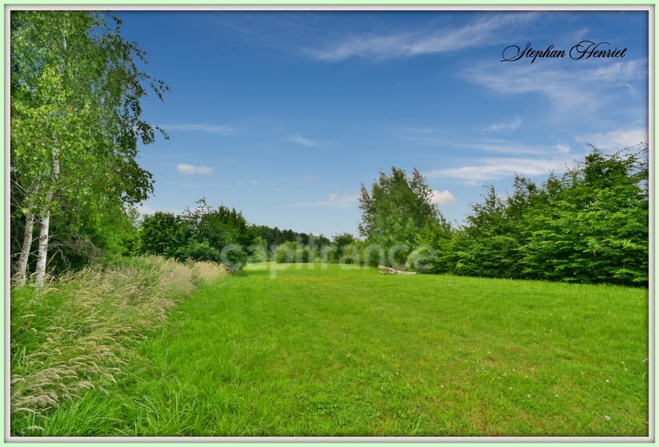 Photos 15 - Foncière - Terrain à vendre de 31 710,00 m² BOULT AUX BOIS (08)