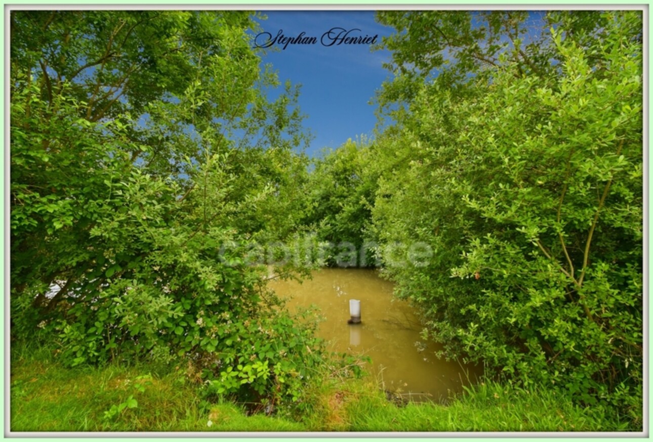 Photos 16 - Foncière - Terrain à vendre de 31 710,00 m² BOULT AUX BOIS (08)