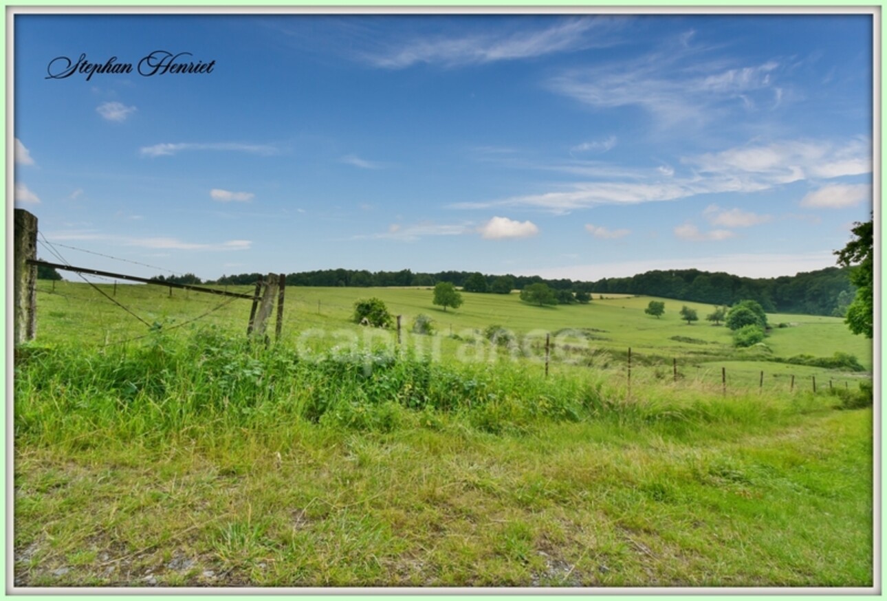 Photos 17 - Foncière - Terrain à vendre de 31 710,00 m² BOULT AUX BOIS (08)