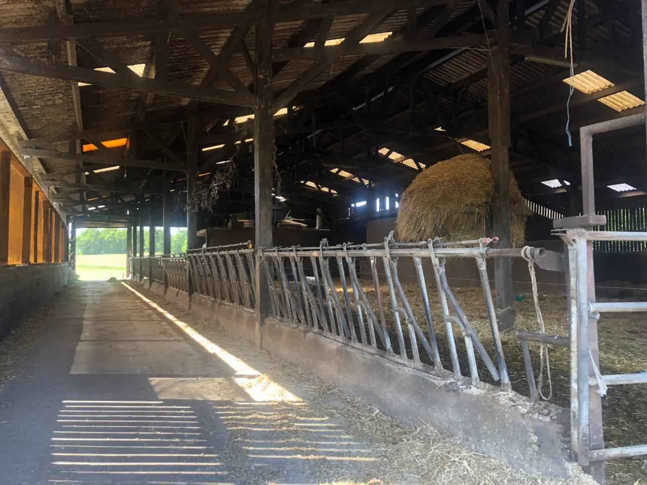 Photos 2 - Agricole - Exploitation Laitière à moins de 20 Km de Dinan