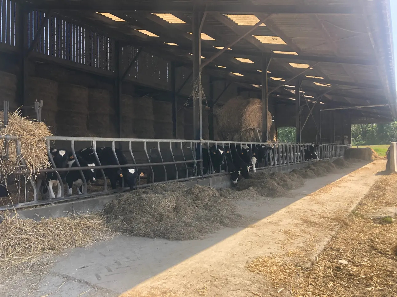 Photos 3 - Agricole - Exploitation Laitière à moins de 20 Km de Dinan