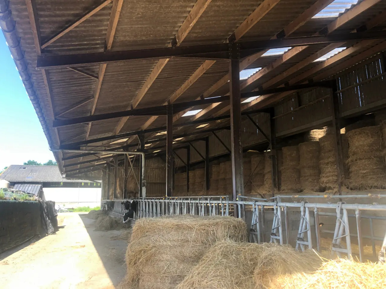 Photos 4 - Agricole - Exploitation Laitière à moins de 20 Km de Dinan