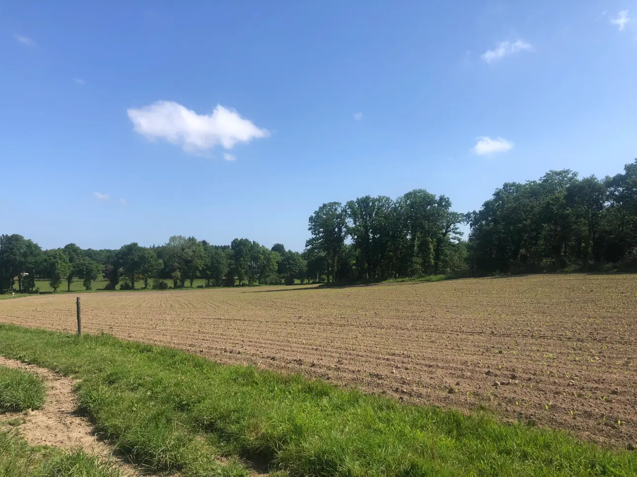Photos 10 - Agricole - Exploitation Laitière à moins de 20 Km de Dinan